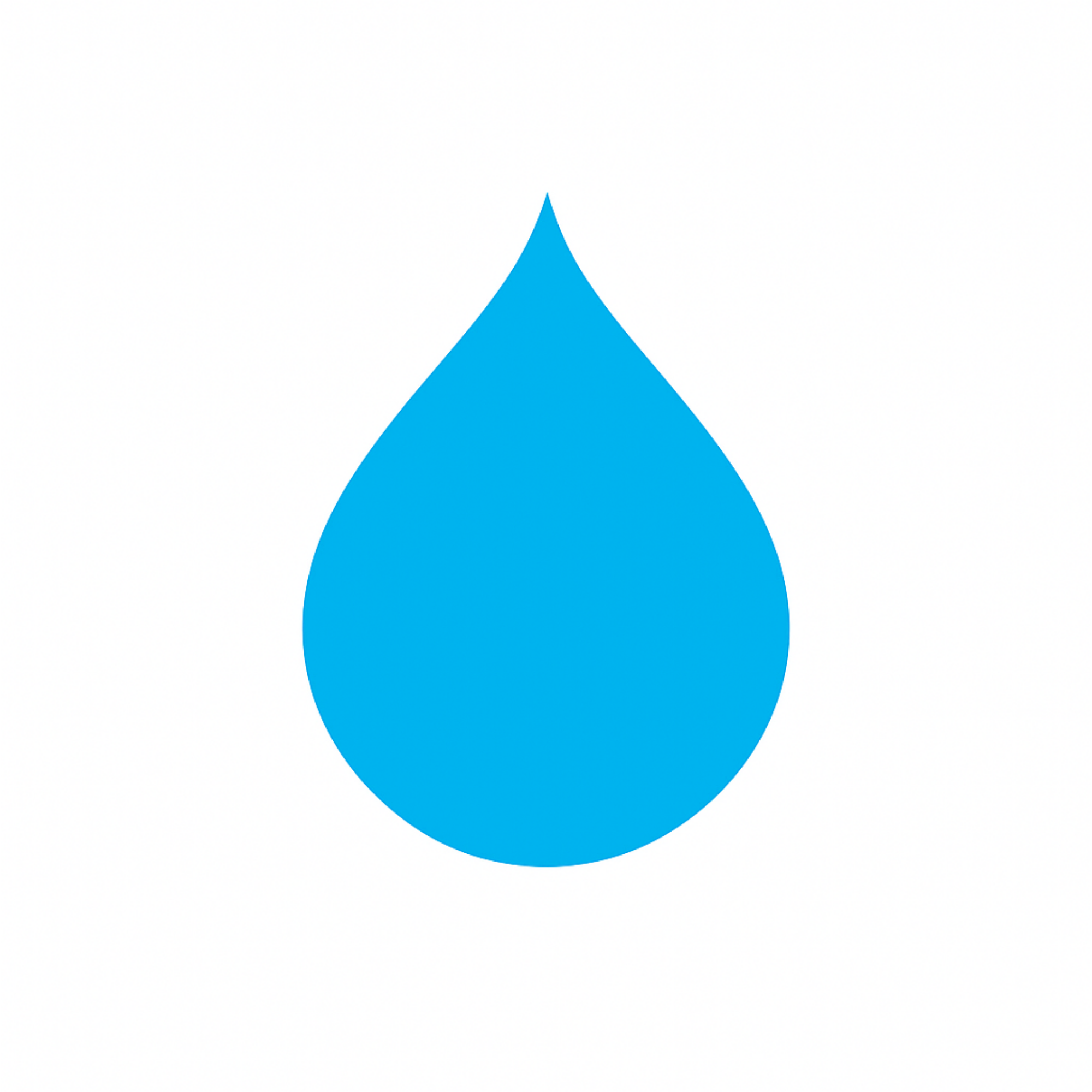 BLUE SPRING INC. Logo